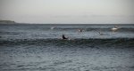 Arugam surfers in water SML