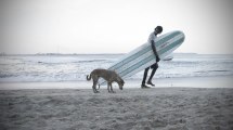 Surfer and dog